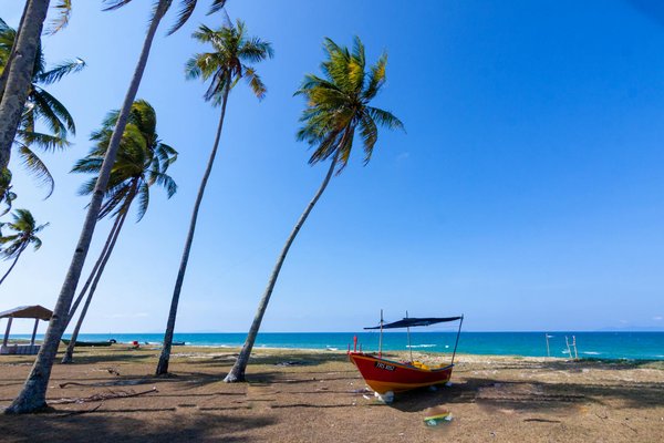 Navette aéroport mons : service fiable et économique 24/7