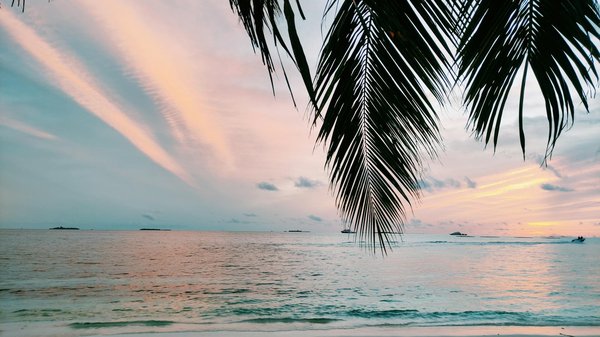 Faire du trekking dans les parcs nationaux